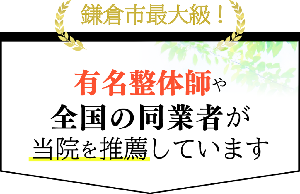 鎌倉市最大級！有名整体師や全国の同業者が当院を推薦しています。